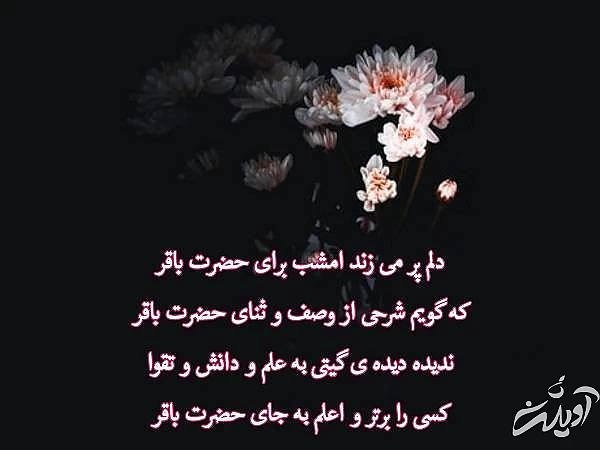 استوری شهادت امام باقر عکس نوشته امام باقر